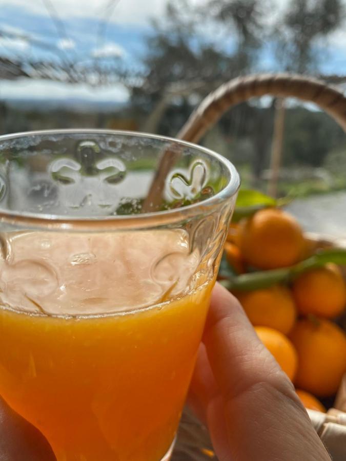 Espirito Cabana Tinalhas Bagian luar foto